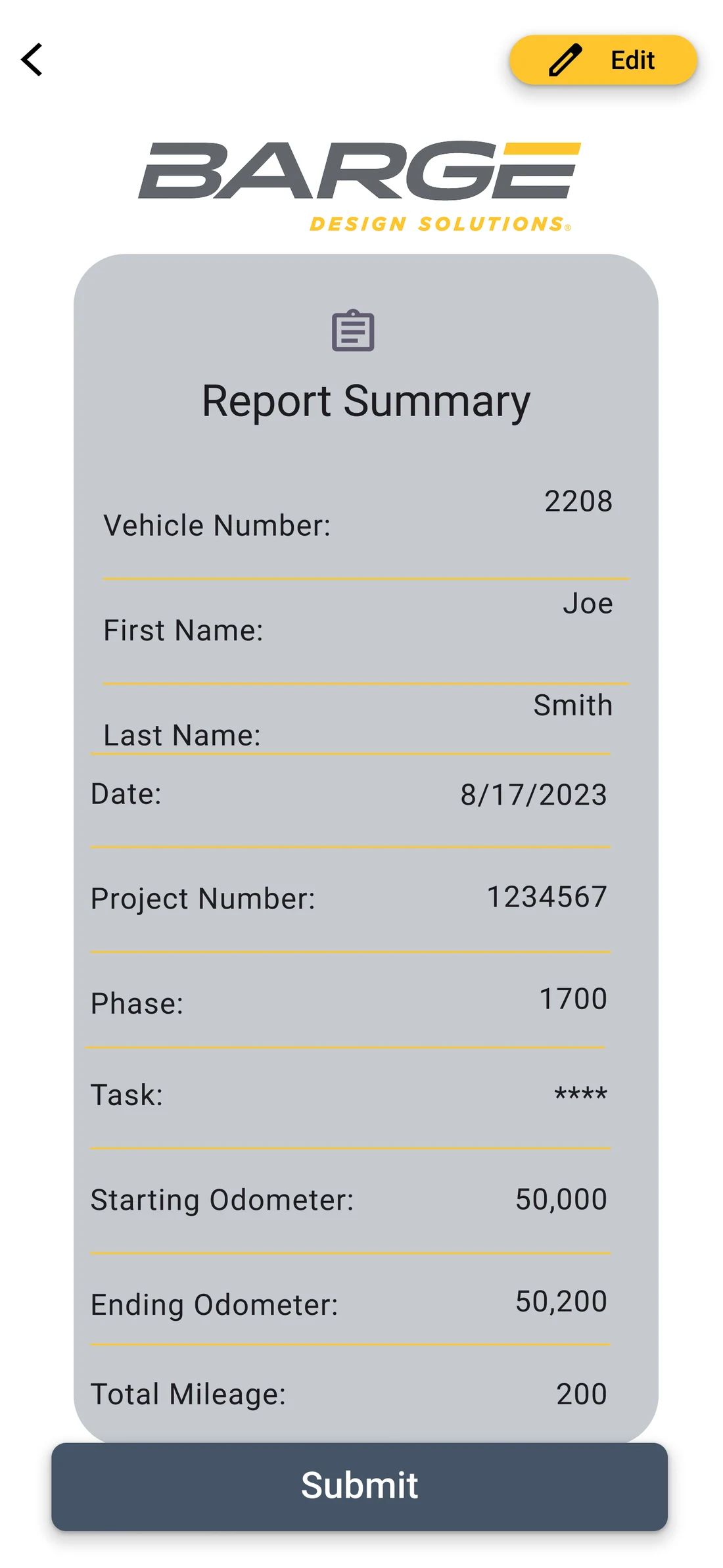 Version 1 report summary